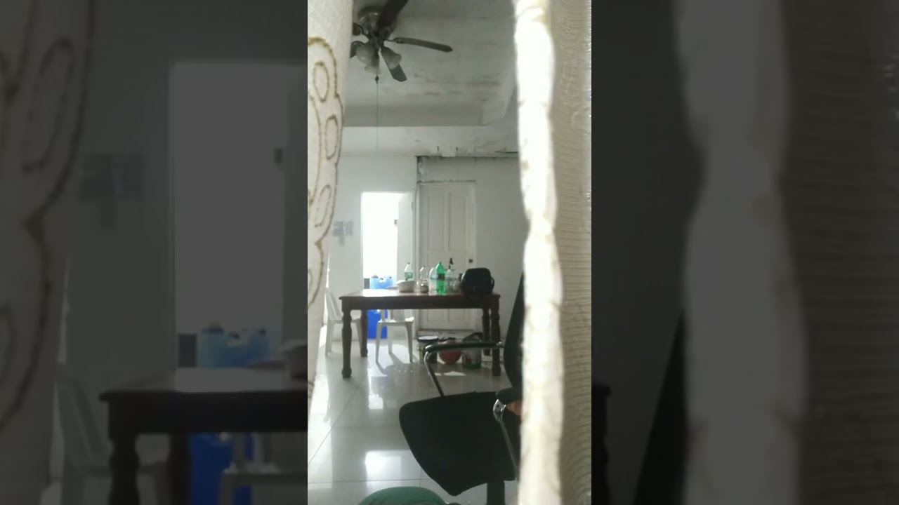 RZC CHANNEL ROSE is live!