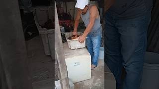 Minhocário do Paulinho, entrega para todo Brasil