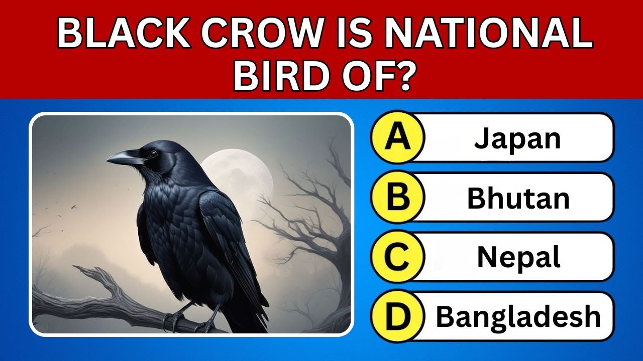 Gk questions in English | English quiz | Quiz questions | Gk questions and answers