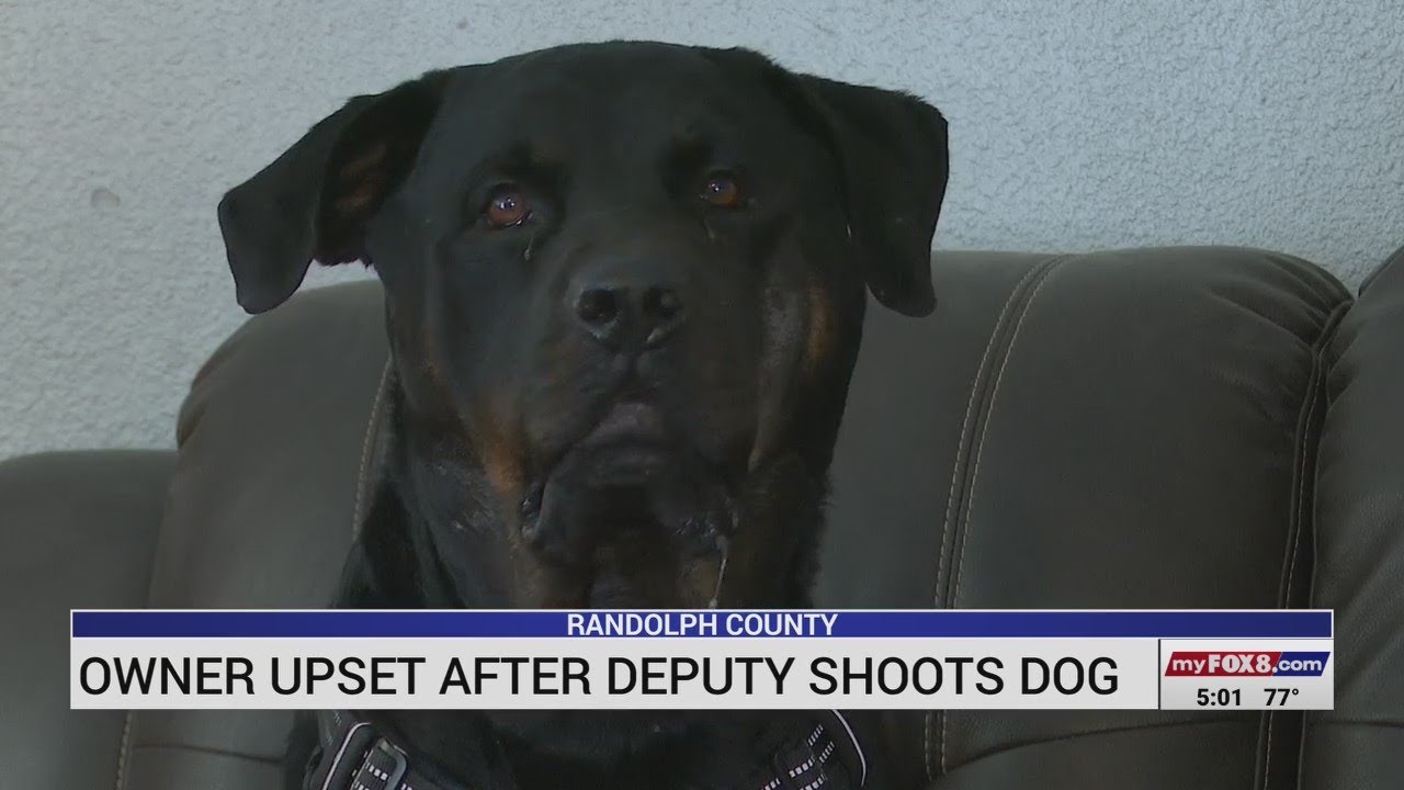 Owner upset after Randolph County deputy shoots dog - YouTube