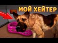 СТРИМЕР ПОЙМАЛ ХЕЙТЕРА НА УЛИЦЕ ( Streamer Life Simulator 2 )