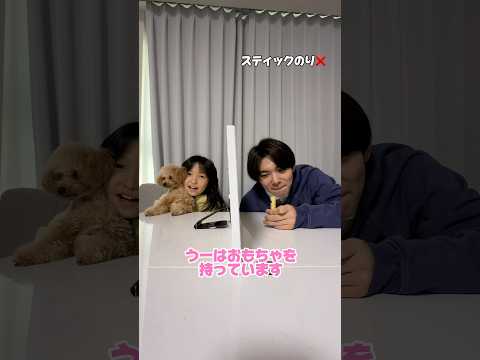 嘘つきチャレンジ！！見破れるのか！？#shorts