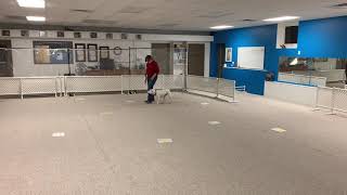AKC Virtual Rally Intermediate