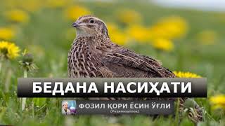 БЕДАНА НАСИХАТИ (Жуда ибратли хикоя!!!) - Фозил қори Ёсин ўғли