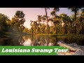 Louisiana swamps and bayous aerial tour
