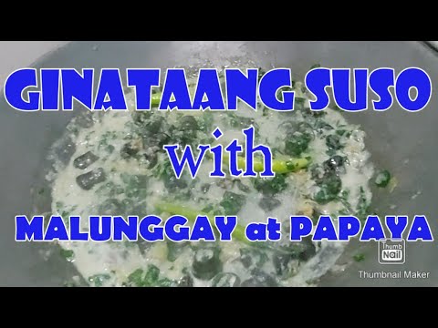 GINATAANG SUSO with MALUNGGAY at PAPAYA, @wincalotsofficial3900 - YouTube