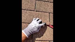 253 E Lyndale Ave, Northlake, IL 60164