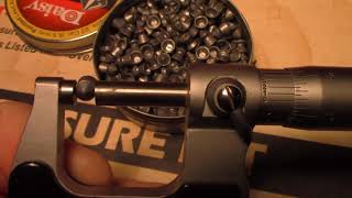 Daisy .22 Pointed Pellet