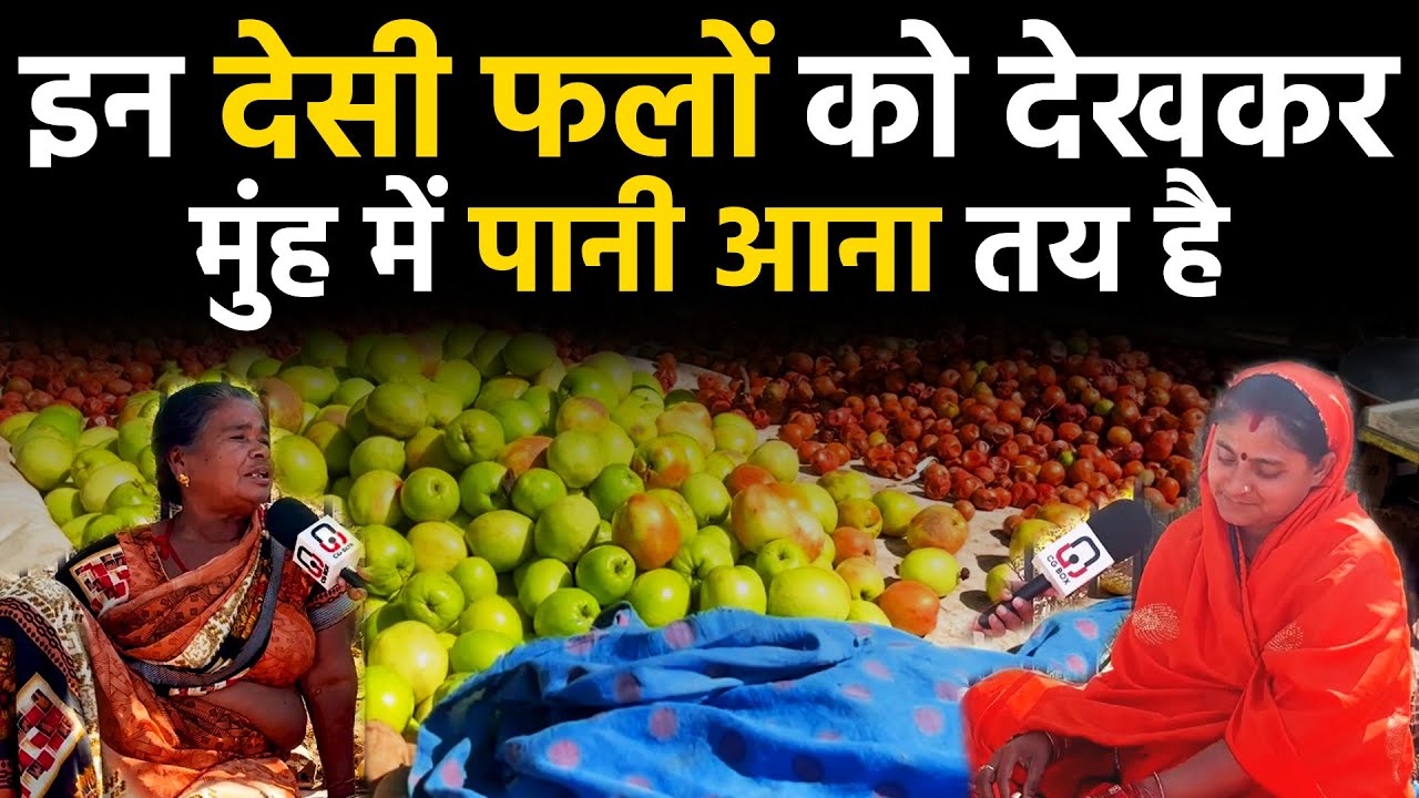 Chhattisgarh bilaspur city में ये देसी  फल ( desi fal ) कहा से आते हैं जाने सब कुछ
