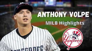 Anthony Volpe New York Yankees 2022 Highlights
