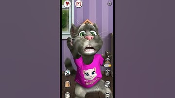 Talking Tom Cat 2