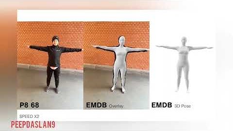 EMDBThe Electromagnetic Database of Global 3D Human Pose and Shape in the Wild