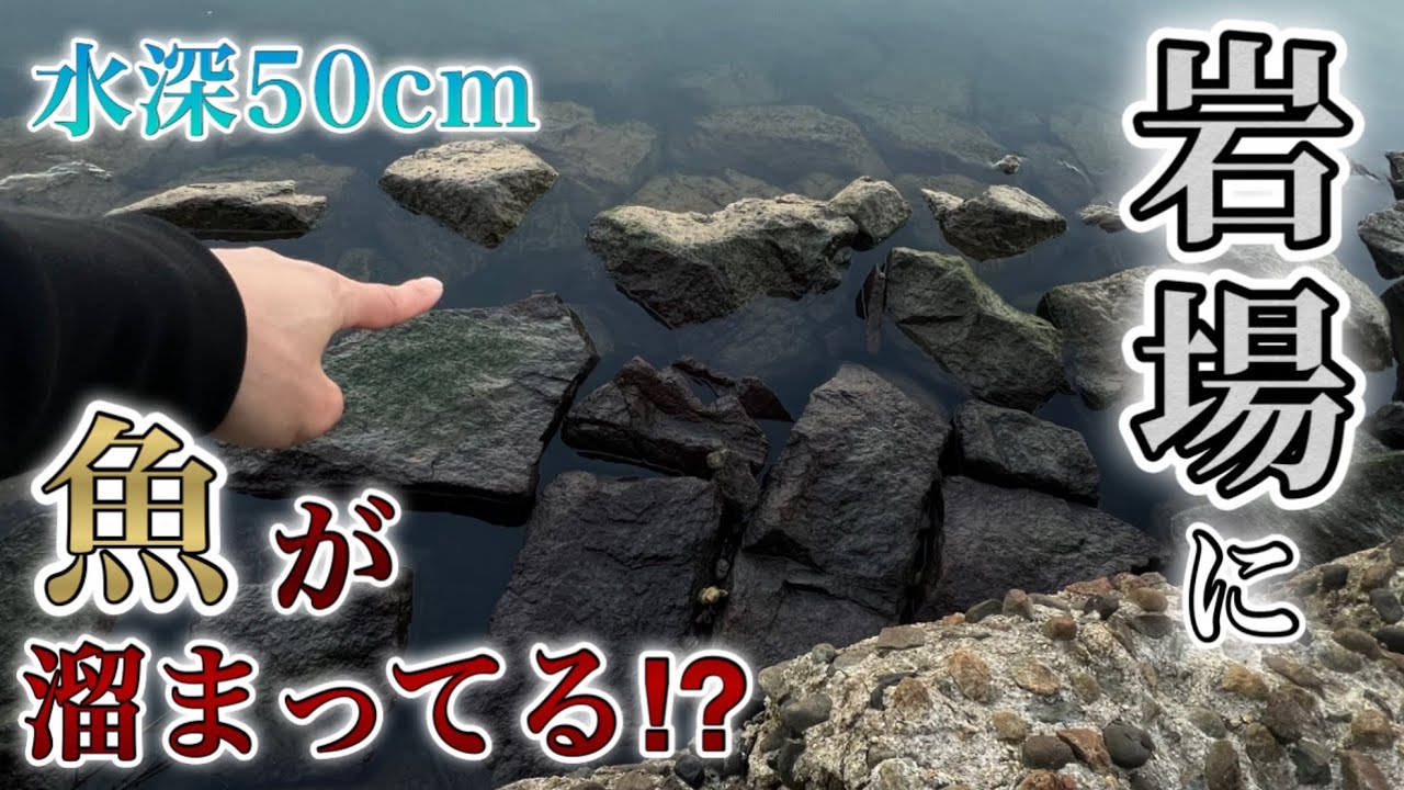 【愛知県釣り】浅すぎる海で釣ってきました！