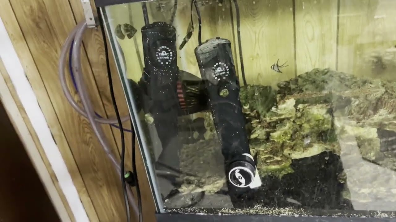 Review of Cobalt Aquatics Neo-Therm Pro Aquarium Heater, Fully Submersible Freshwater, Saltwater