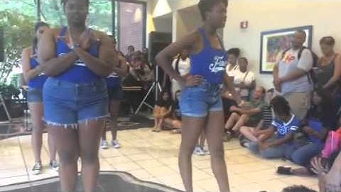 Pi Epsilon Chapter of Zeta Phi Beta at UTK Welcome Back Celebration