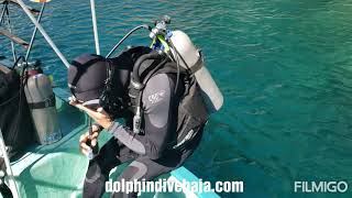 What to do in loreto baja - scuba dive