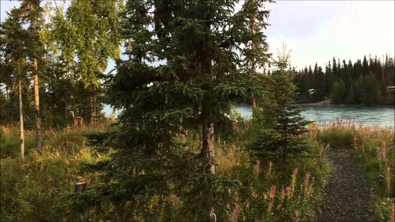 Alaska Fishing Trip 2015