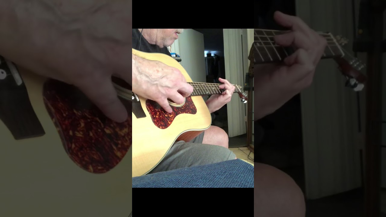 Guild D240E Flame Mahogany No talk Demo