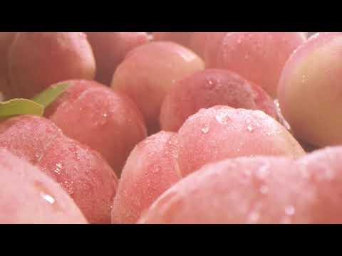 For lovely you! JINRO Peach (16s) l HK ver