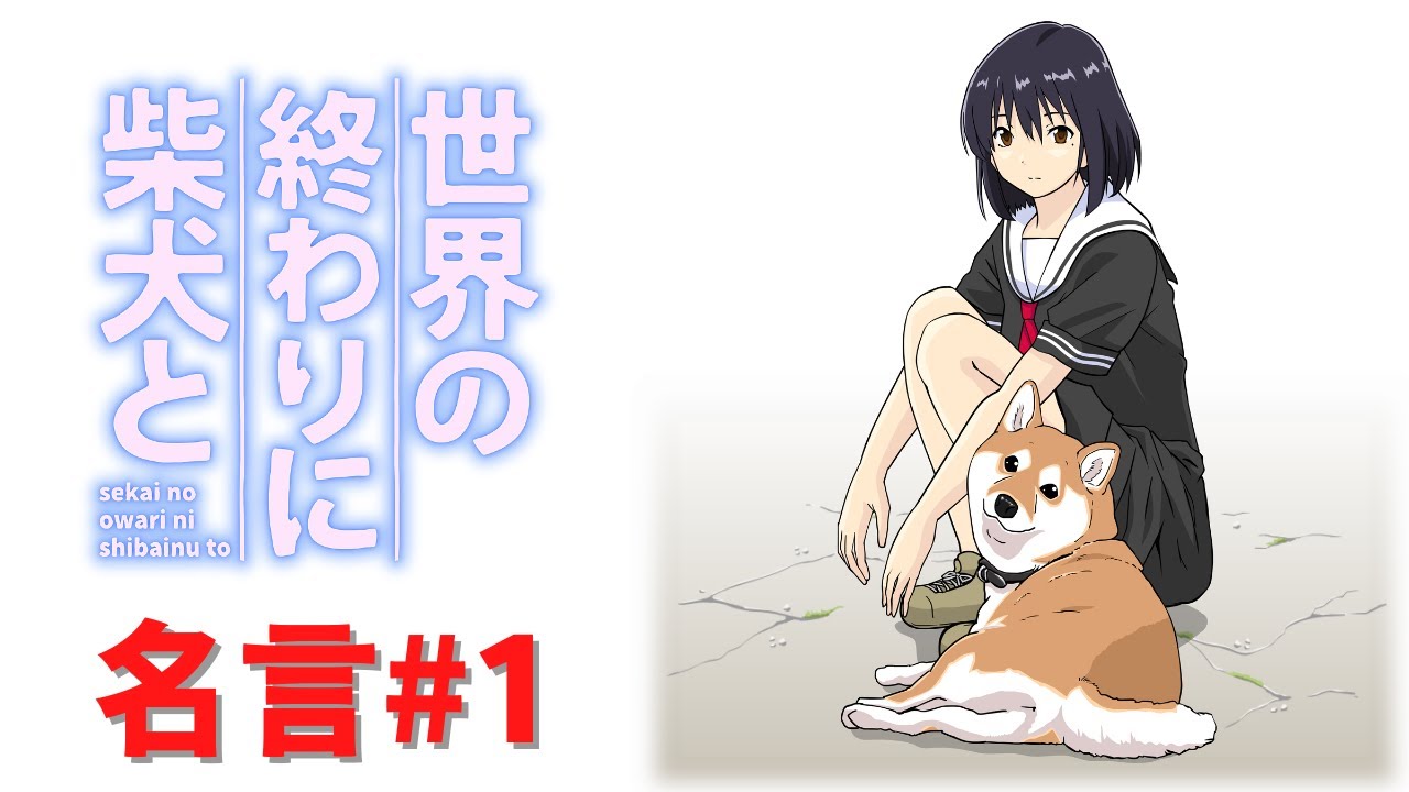 Please Suggest Some Youtube Channels