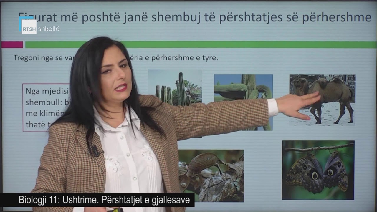 Biologji 11 - Ushtrime. Përshtatjet e gjallesave.