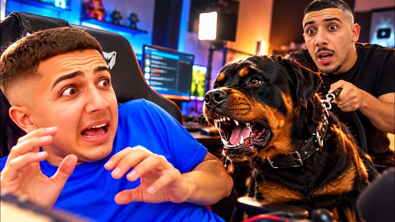 בן בן הביא לדה כהן כלב שמירה מפחיד ללייב!! 😱🐕 (מטורף)