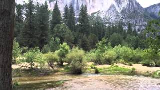 Yosemite National Park - 2014
