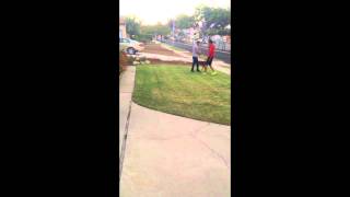 Jaxon Human & Dog Aggressive Test