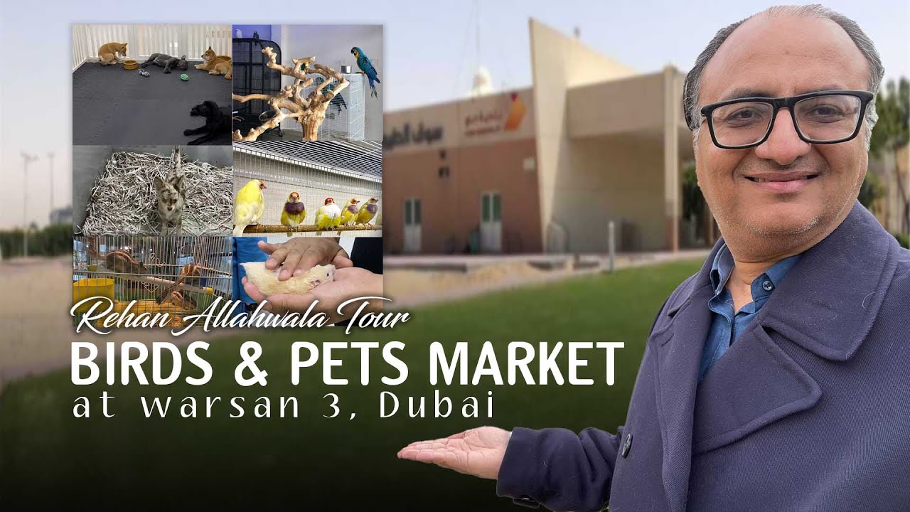 Thumbnail for Tour of Birds and Pets Market Al Warsan, Dubai by Rehan Allahwala