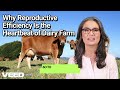 Why Reproductive Efficiency Is The Heartbeat Of Dairy Farm
