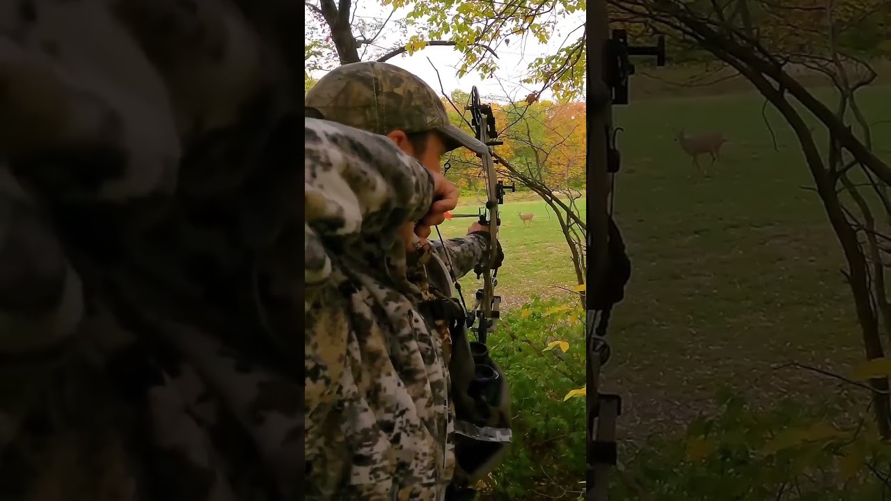 «Идеальный близкий выстрел из лука по оленю!»