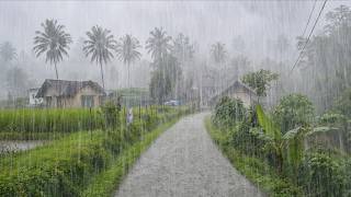 EXTREME WEATHER ⛈️⚡ MOST INTENSE HEAVY RAIN & WINDSTORM | WALKING IN THE INDONESIAN COUNTRYSIDE⛈️ screenshot 5