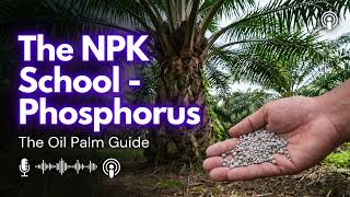 Sekolah NPK - Fosfor. Panduan Petani Kelapa Sawit