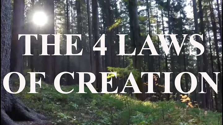 Bashar | The 4 Laws Of Creation
