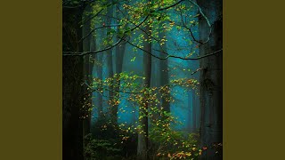 Download Lagu Jj Sa Kajili Jili, Vol. 2 (feat. ID Creative) MP3