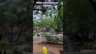 Resort - By Mrugavani