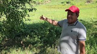 (OPORTUNIDADE) SÍTIO COM CASA, AÇUDE E FRUTÍFERAS TUDO A VENDA 