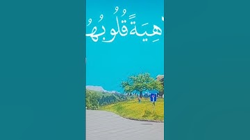#اسلام_صبحي #سورة_البقرة #قرآن_كريم #ياسر_الدوسري #سورة_الكهف