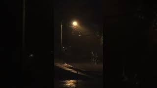 3107 4 – W/N x ERIK x NÂU Cover guitar