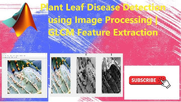 Plant Leaf Disease Detection using Image Processing Matlab code
