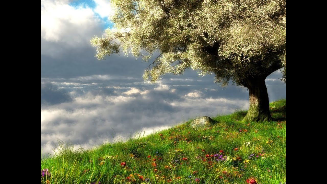 Atlanta Korean SDA Church: "How Can It Be? " - Pr. Sean Choi  01/17/26