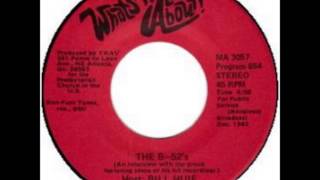 The B 52's - What's It All About Interview 1982 (Fred Schneider, Bill Huie)