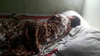 Como Acordar Seu Irmão Quando Ele Ta Com Preguiça