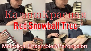 【Калина красная Red Snowball Tree】Melodica Ensemble&Percussion