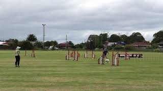 Harley Advanced Jumping - NQ - 16th March 2024