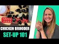 BEGINNERS GUIDE to a SIMPLE Chicken Brooder Setup [2022]