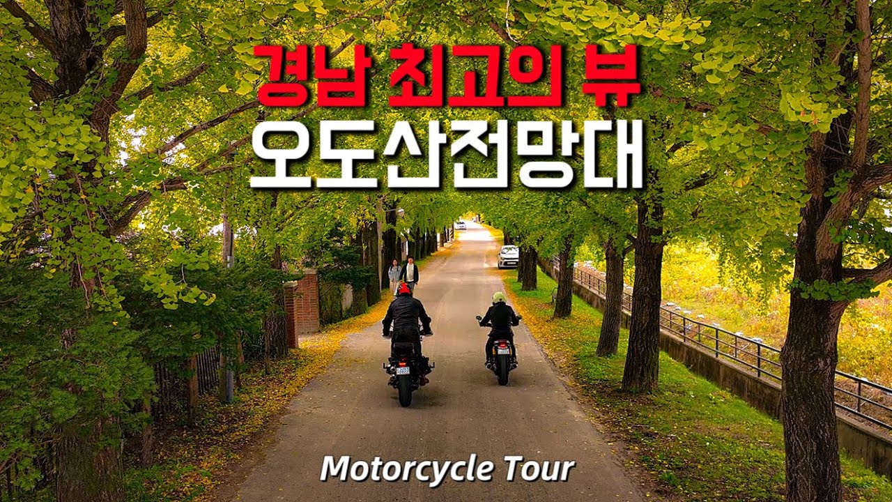 경남의 숨은 보물, 오도산전망대 : 바이크 투어 : 은행나무길 : 오토바이 여행