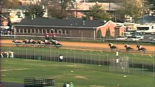 1991 Breeders' Cup Classic