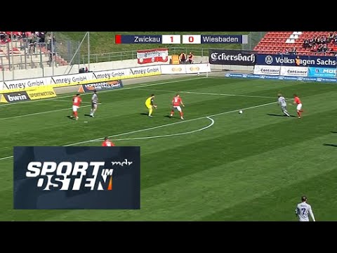 Zwickau Wehen Goals And Highlights