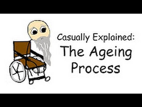 Casually Explained  The Ageing Process